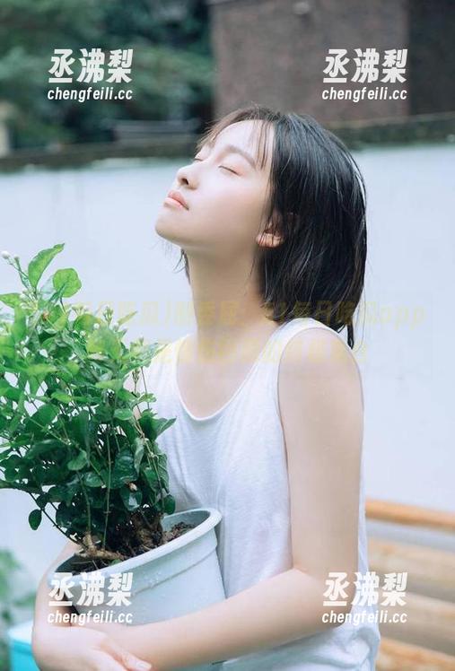 刨委屈：51每日吃瓜app每天都是情伤回顾的终极集合