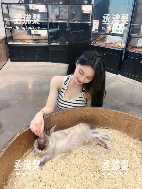 线条流畅，影像昏黄，这91吃瓜网的站点就是我的小确幸！