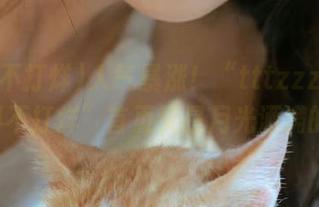 人气暴涨！“tttzzz668su黑料不打烊”首页又是月光洒满的夜晚