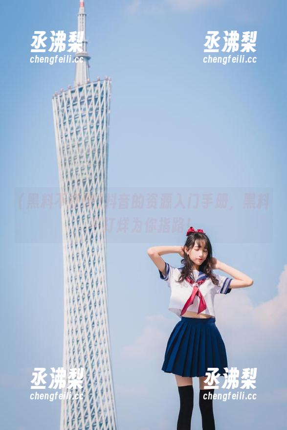 抖音的资源入门手册，黑料不打烊为你指路！
