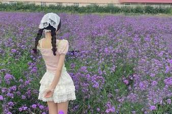 黑料社区官网，这‘入口’可真不一般，真得好好逛逛了！