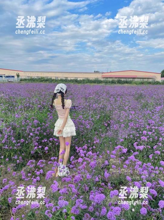 黑料社区官网，这‘入口’可真不一般，真得好好逛逛了！