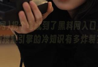 拐个弯就到了黑料网入口，俄罗斯搜索引擎的冷知识有多炸裂？