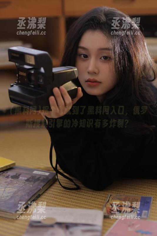拐个弯就到了黑料网入口，俄罗斯搜索引擎的冷知识有多炸裂？