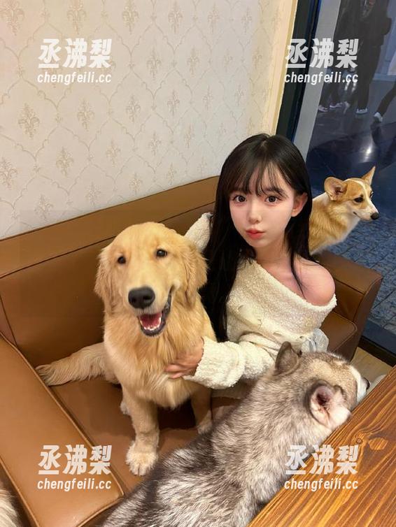 听说“黑网料”的吃瓜线路最近被封了，果然好料总是让人忍不住想要一探究竟。